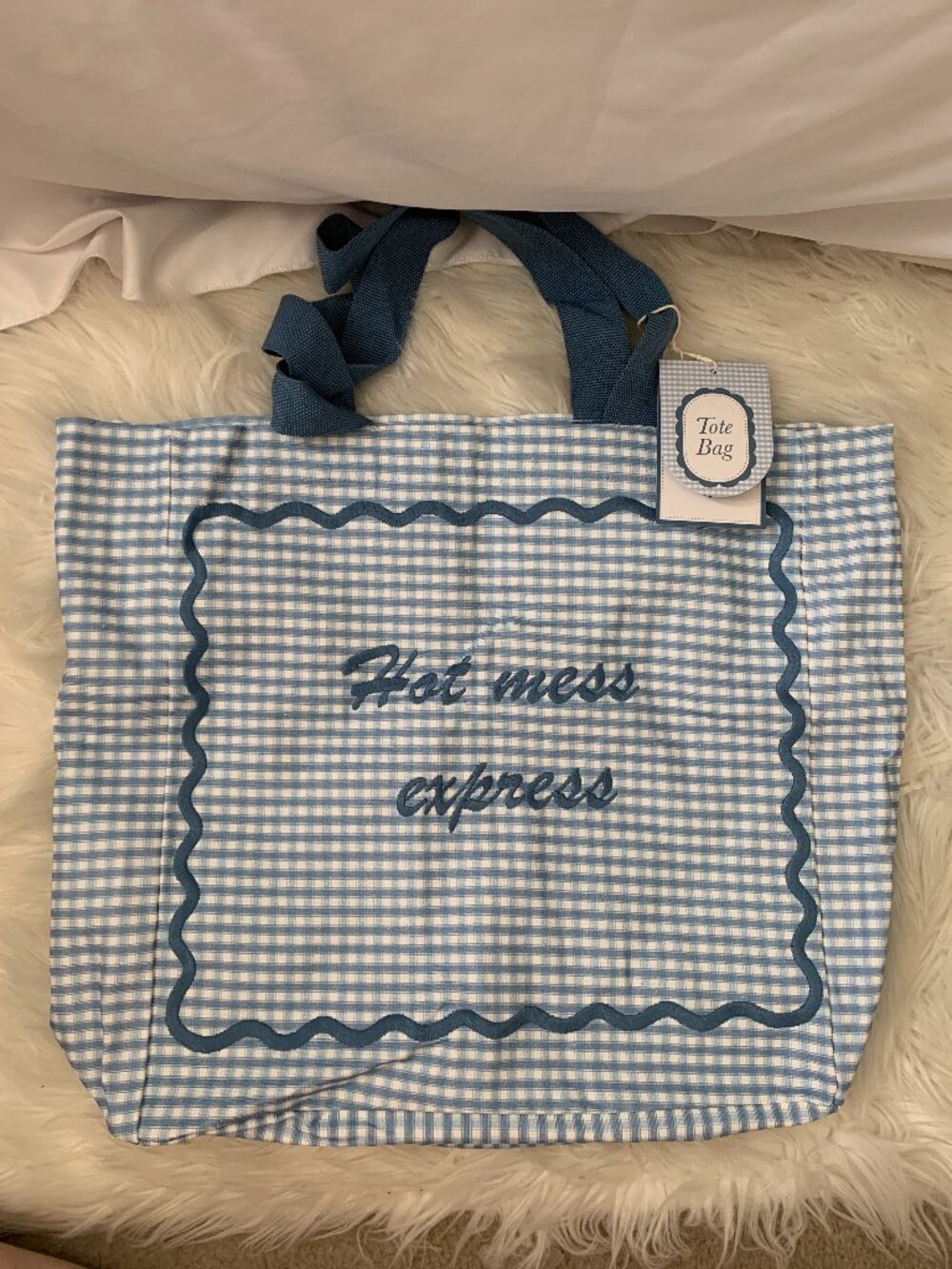 LADY DELANEY Hot Mess Express Embroidered Gingham Tote Bag in Blue/White